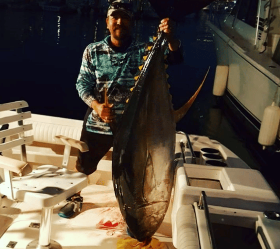 Cabo Offshore - 35’ Owen In Cabo San Lucas