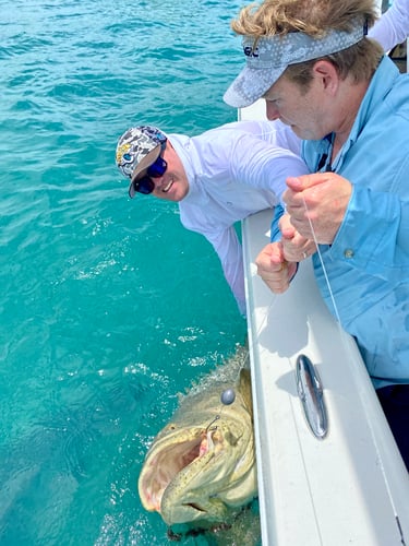 Back-to-Back Day Charters In Vero Beach
