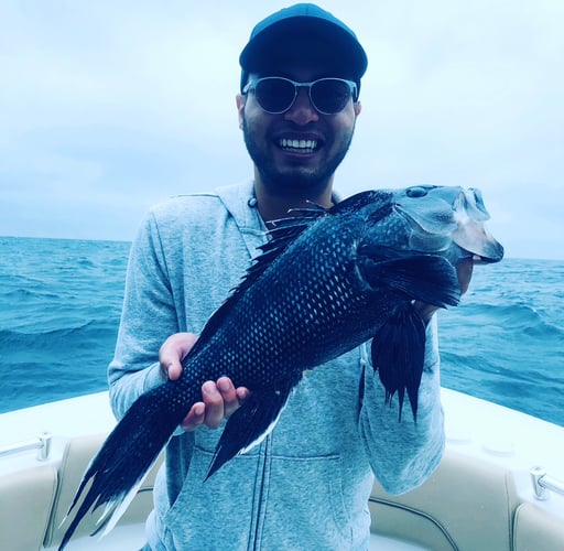 Cape Cod Black Seabass And More In Bourne