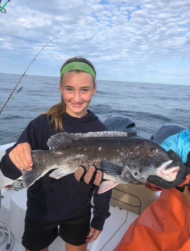 Cape Cod Black Seabass And More In Bourne