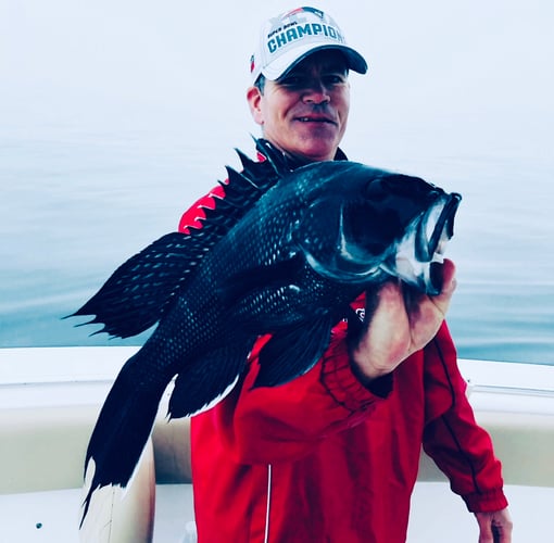 Cape Cod Black Seabass And More In Bourne