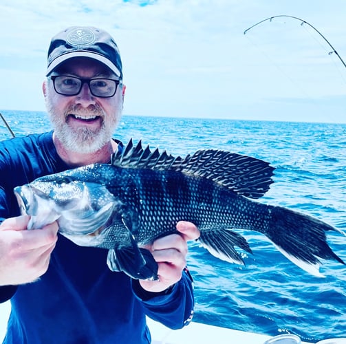 Cape Cod Black Seabass And More In Bourne