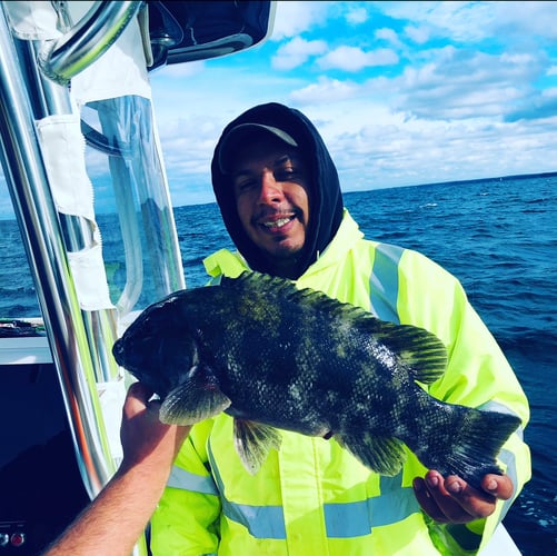 Cape Cod Black Seabass And More In Bourne