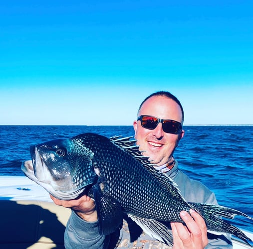 Cape Cod Black Seabass And More In Bourne