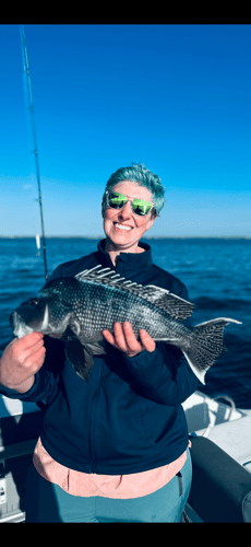 Cape Cod Black Seabass And More In Bourne