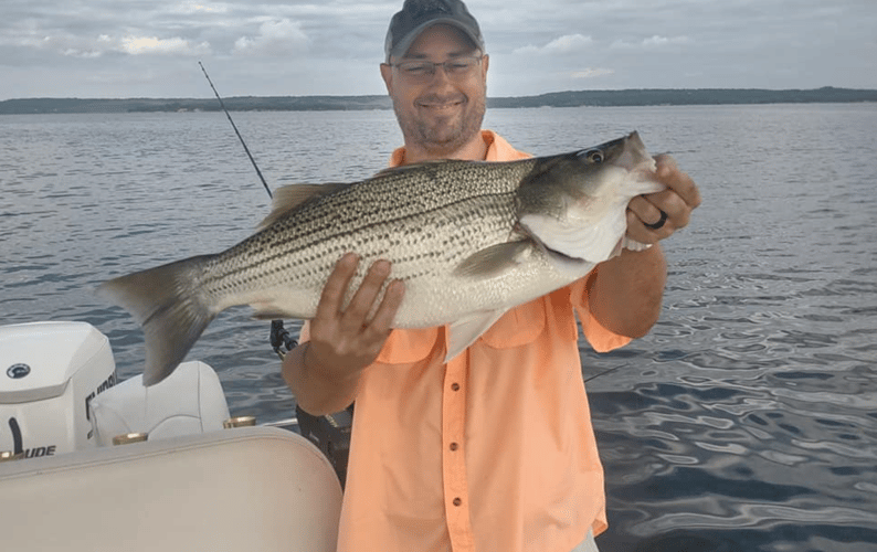 Hybrid and Sand Bass Slam - Lake Bridgeport