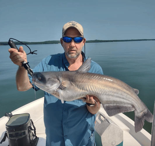 Hybrid and Sand Bass Slam - Lake Bridgeport