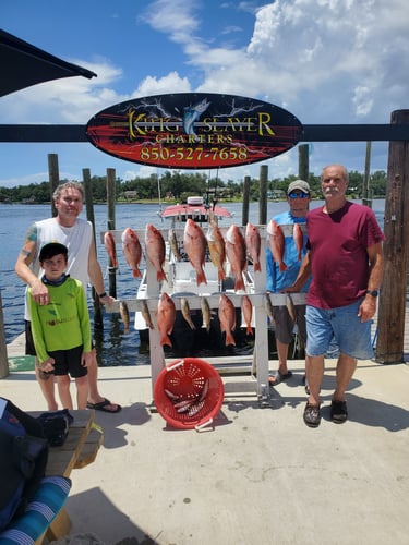 8hr PC Bottom Fishing And Trolling Special in Panama City