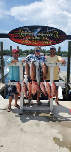 8hr PC Bottom Fishing And Trolling Special in Panama City