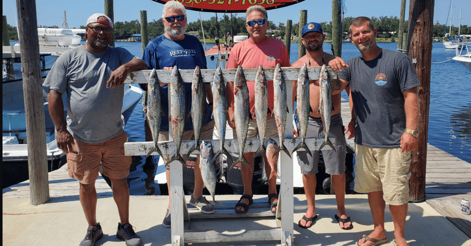 8hr PC Bottom Fishing And Trolling In Panama City