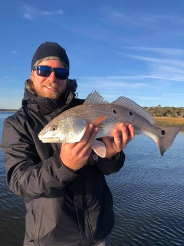 Authentic Local Inshore Experience In St. Augustine