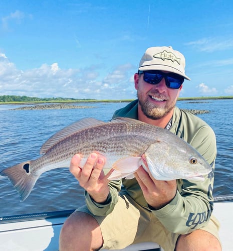 Authentic Local Inshore Experience In St. Augustine