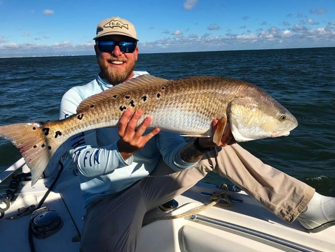 Authentic Local Inshore Experience In St. Augustine