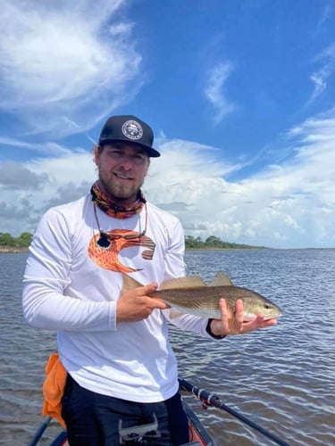 Authentic Local Inshore Experience In St. Augustine