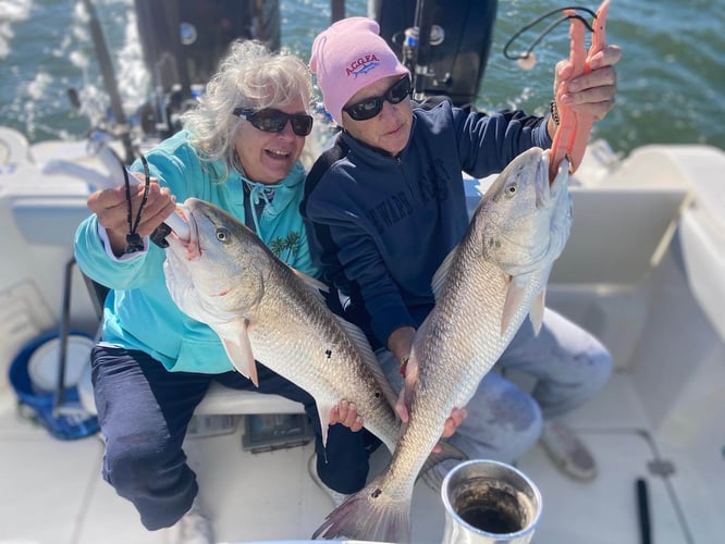 Authentic Local Inshore Experience in St. Augustine