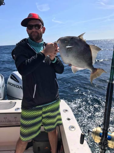 Full Day Trip - 31' Contender In St. Augustine