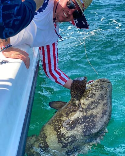 Full Day Trip - 31' Contender In St. Augustine