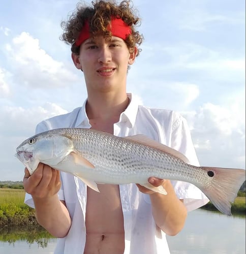 St. Augustine Inshore Hook-Up in St. Augustine