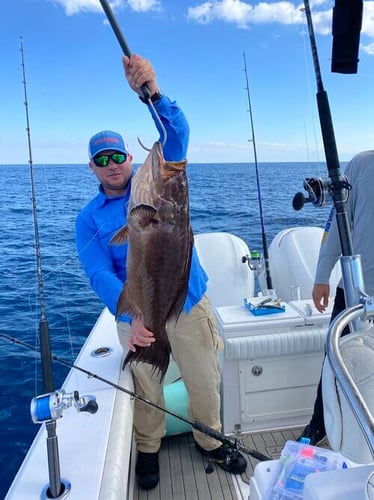 Deep Water Bottom Fishing In St. Augustine