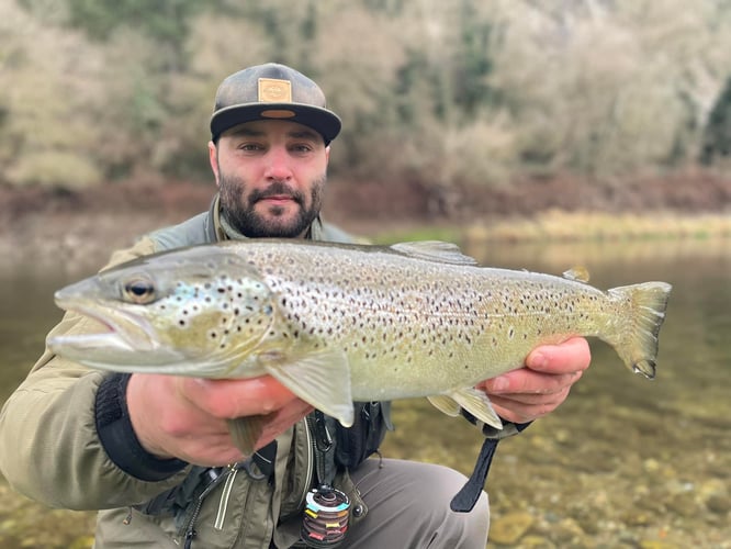 Epic Spanish Pyrenees Fly Fishing In Fiscal