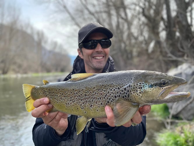 Epic Spanish Pyrenees Fly Fishing In Fiscal