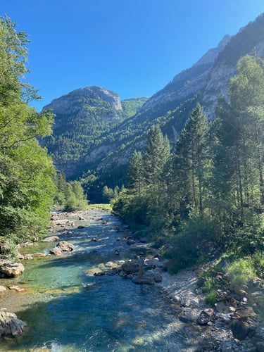 Epic Spanish Pyrenees Fly Fishing In Fiscal