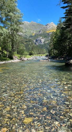 Epic Spanish Pyrenees Fly Fishing In Fiscal