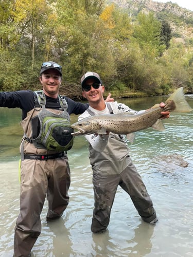 Epic Spanish Pyrenees Fly Fishing In Fiscal