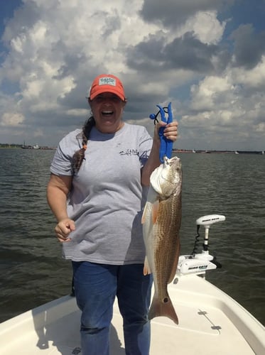 Galveston Bay Fishing In Texas City