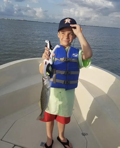 Galveston Bay Fishing In Texas City