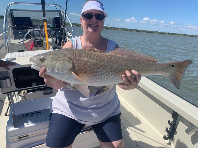 Galveston Bay Fishing In Texas City