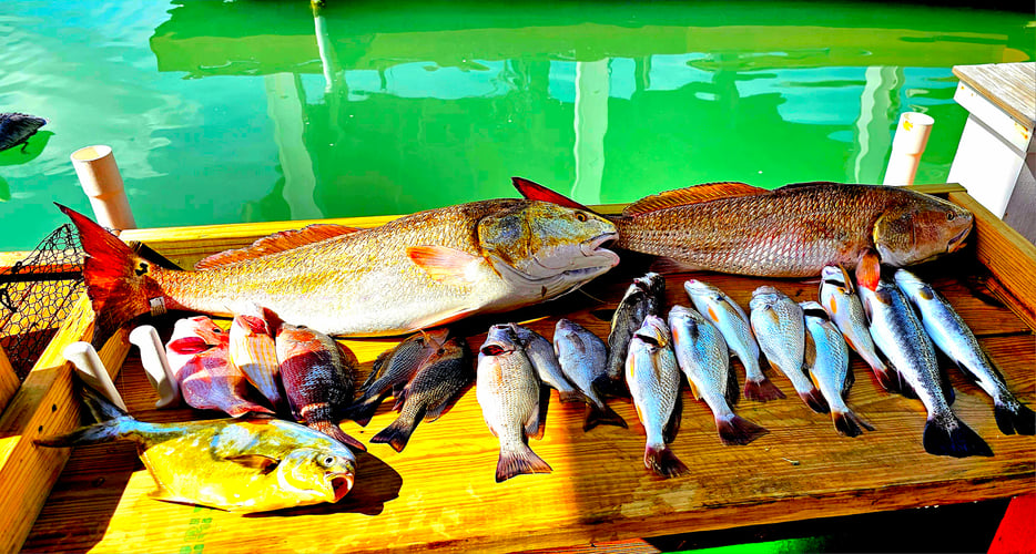 Crystal Flats Guide Service with Captain Experiences