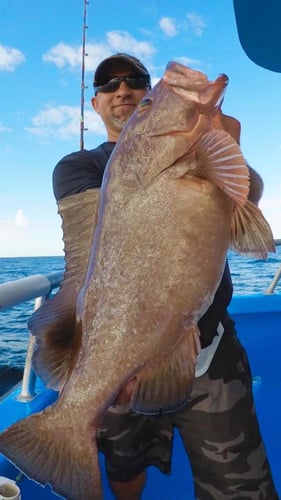 Seriously Huge Snapper And Grouper - 28' In Tierra Verde