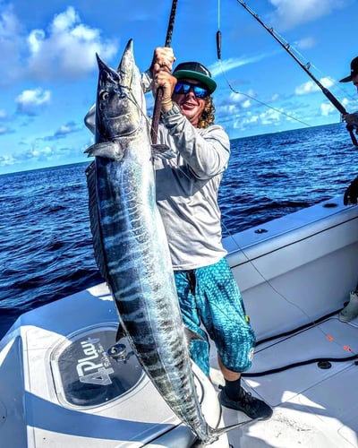 Seriously Huge Snapper And Grouper - 28' In Tierra Verde