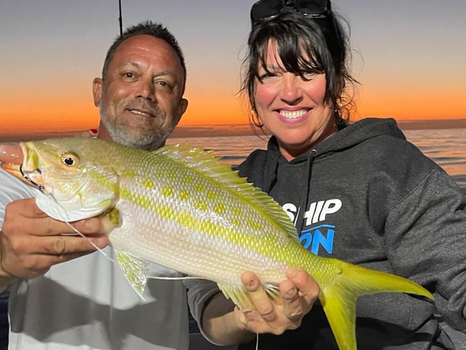 Seriously Huge Snapper And Grouper In Tierra Verde