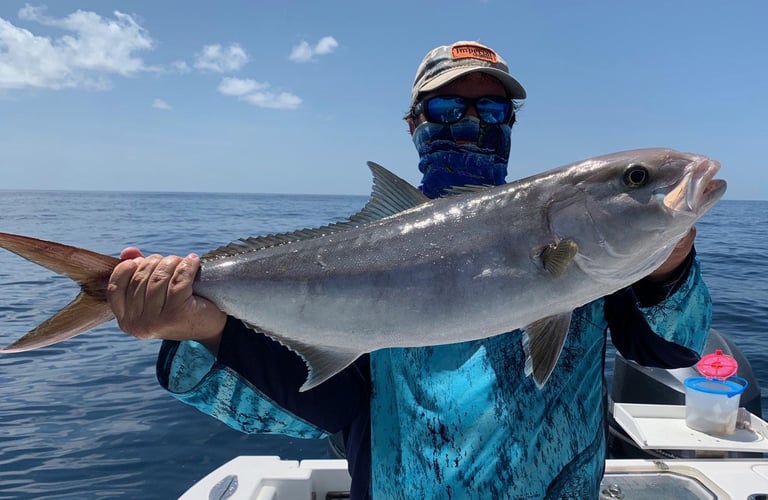 Seriously Huge Snapper And Grouper - 28' In Tierra Verde