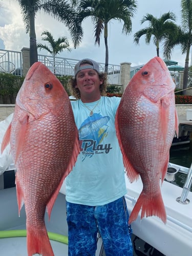 Fed Permitted "ARS" - American Red Snapper- 48’ In St. Petersburg