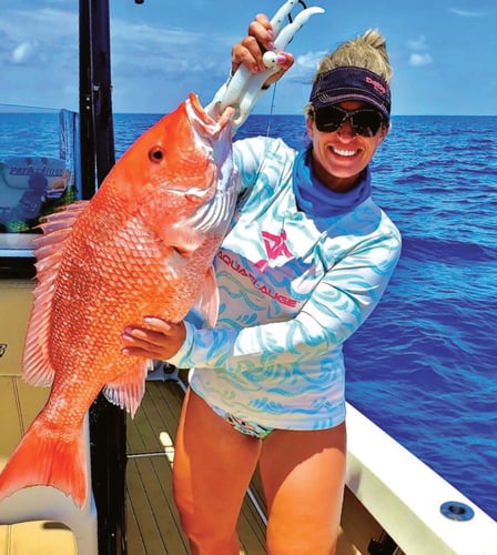 Fed Permitted "ARS" - American Red Snapper In St. Petersburg