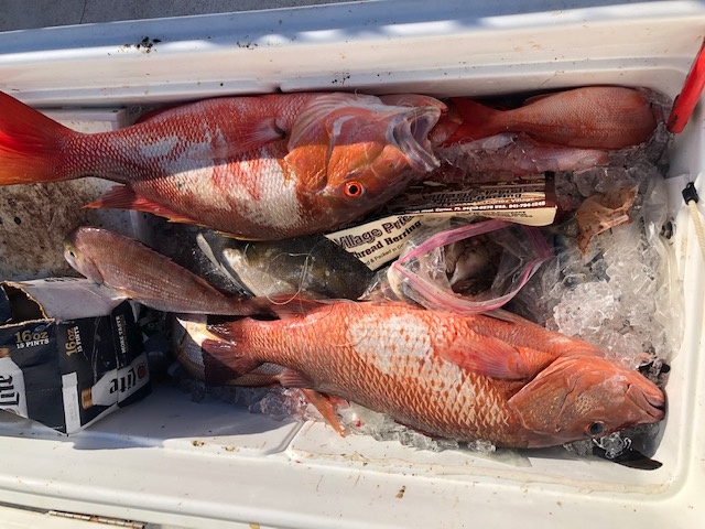 Offshore Hook-Up In St. Augustine