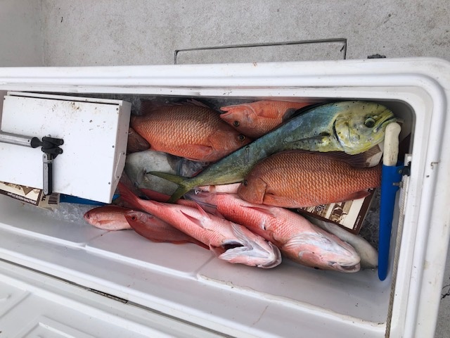 Offshore Hook-Up In St. Augustine