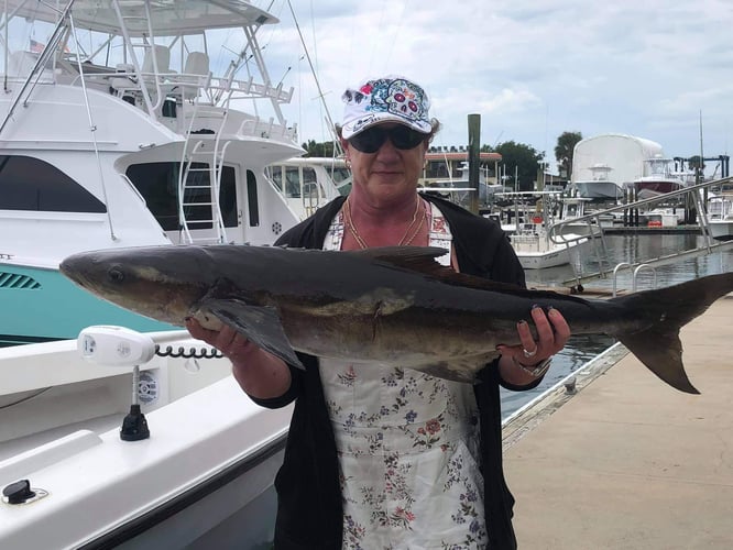 Summertime Special in St. Augustine