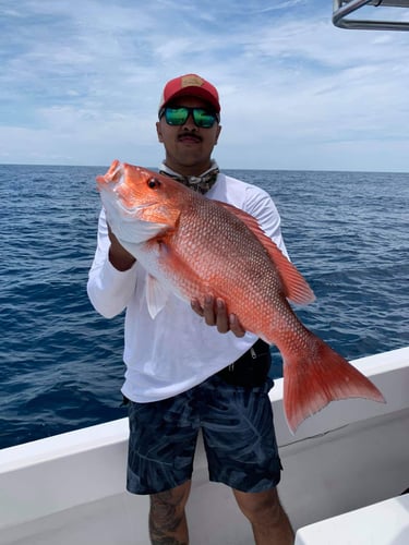 Extended Day Offshore In St. Augustine