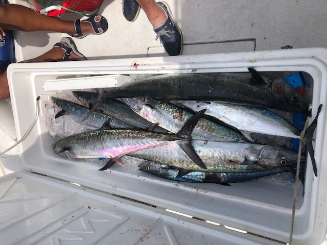 Offshore Hook-Up In St. Augustine