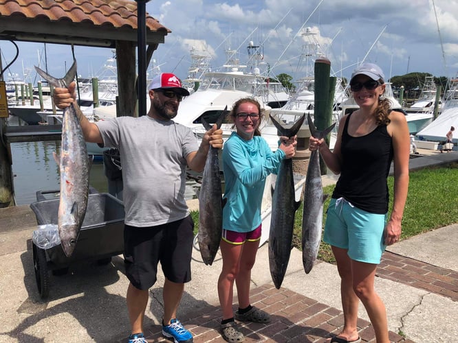 Summertime Special in St. Augustine