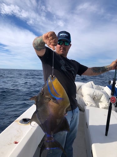 Offshore Hook-Up In St. Augustine