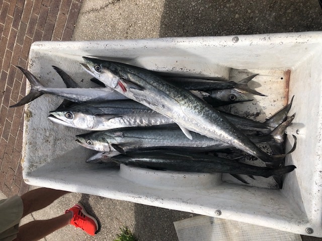 Offshore Hook-Up In St. Augustine