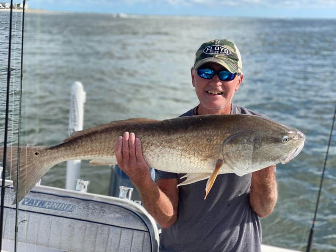 Inshore Light Tackle Trip In St. Augustine