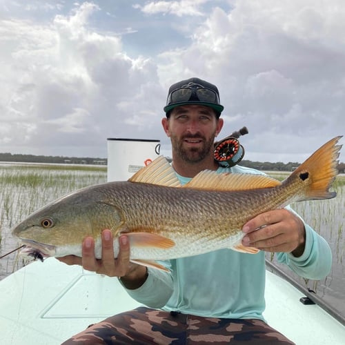 Inshore Light Tackle Trip In St. Augustine