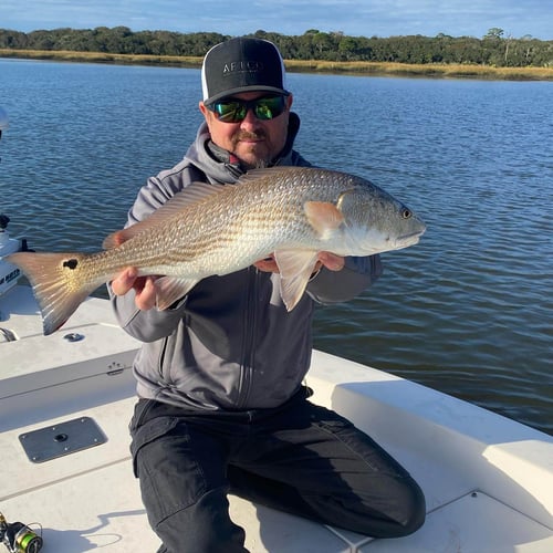 Inshore Light Tackle Trip In St. Augustine