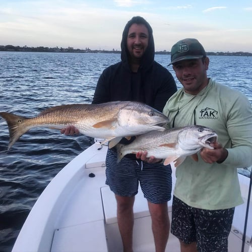 Inshore Light Tackle Trip In St. Augustine